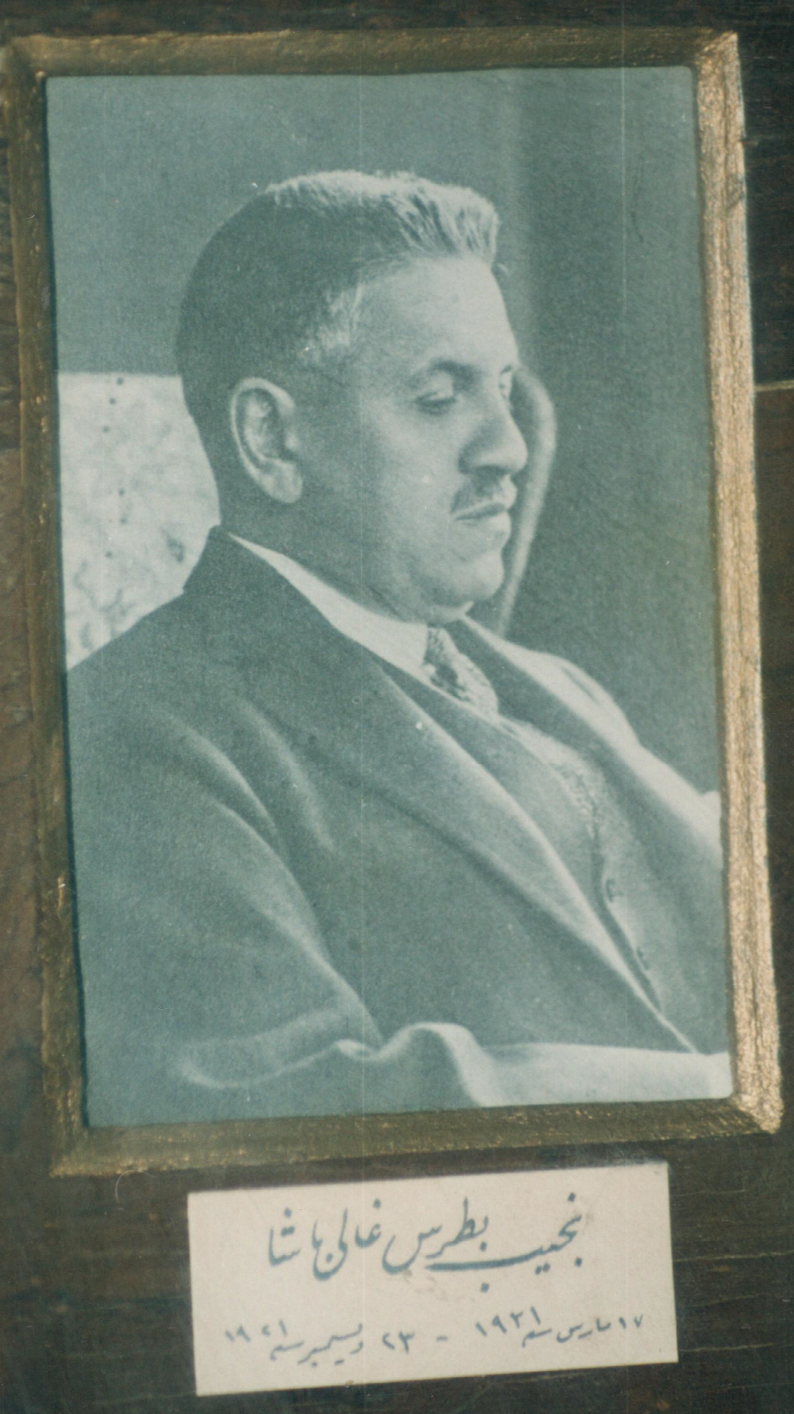 نجيب بطرس غالي