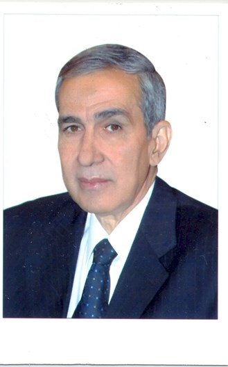 أحمد محمود علي الجيزاوي