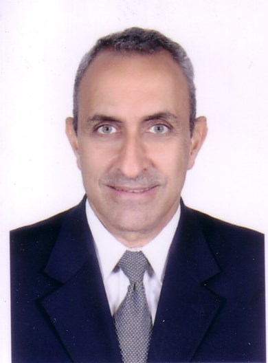 الاستاذ الدكتور / أيمن فريد ابو حديد